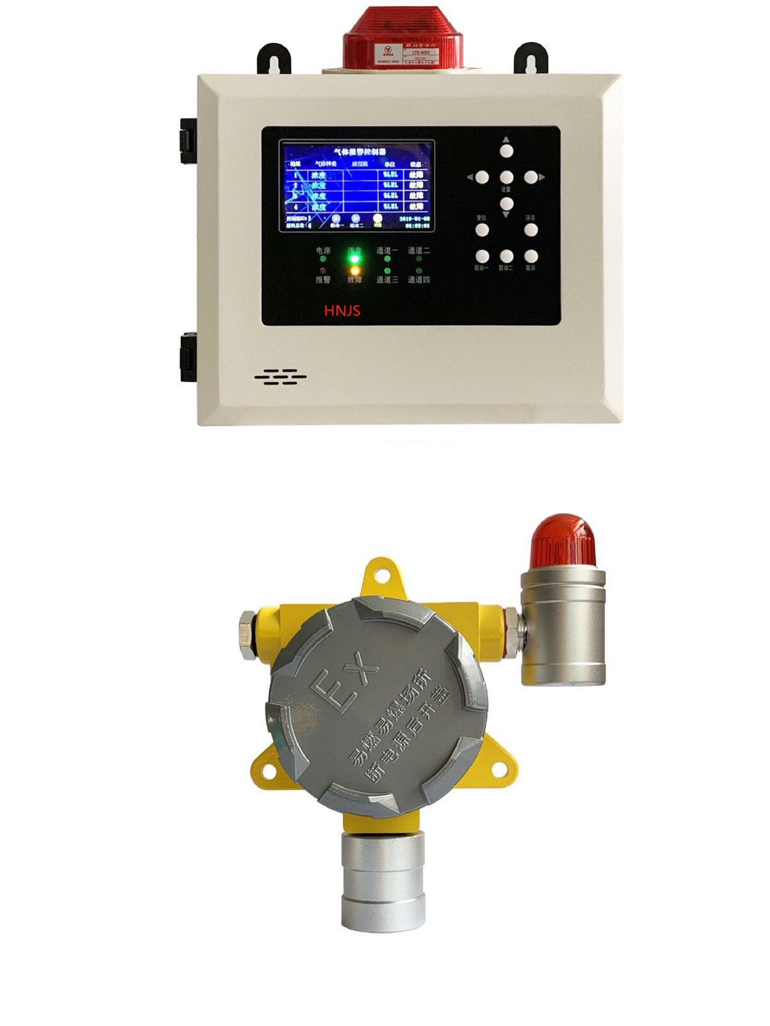 Leak detection system